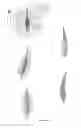 Fig. 07 - Aircraft wing having continuously rotating wing tips