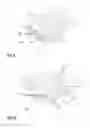 Fig. 08 - Aircraft fuselage structure