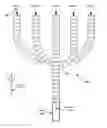Fig. 01 - Parallel tracks design description