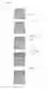 Fig. 08 - Thermal insulated mold and production method thereof