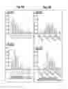 Fig. 06 - Classification generation method using combination of mini-classifiers with regularization and uses thereof