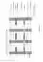Fig. 10 - High throughput detector array
