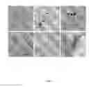 Fig. 02 - Process for manufacturing colloidal materials, colloidal materials and their uses