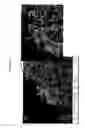 Fig. 24 - Methods of nanowire functionalization, dispersion and attachment