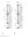 Fig. 07 - Electronic device and electronic device manufacturing method