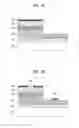 Fig. 06 - Light emitting device and method of manufacturing the same