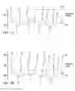Fig. 02 - Semiconductor film with adhesion layer and method for forming the same
