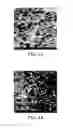 Fig. 02 - LIGHT WEIGHT ARTICLES, COMPOSITE COMPOSITIONS, AND PROCESSES FOR MAKING THE SAME
