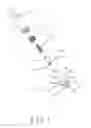 Fig. 02 - TOOL JOINT