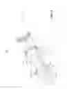 Fig. 06 - Two-wheel vehicle structure