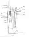 Fig. 01 - LEG SUPPORT FOR VEHICLE OCCUPANT
