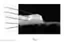 Fig. 09 - BARRIER LAYER FOR ELECTRICAL FUSES UTILIZING THE METCALF EFFECT
