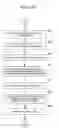 Fig. 24 - Method and device for displaying images and text in accordance with a selected pattern
