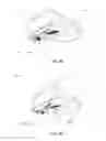 Fig. 09 - HEAD-MOUNTED STEREOSCOPIC DISPLAY