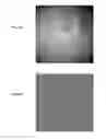 Fig. 07 - AUTO-FLAT FIELD FOR IMAGE ACQUISITION