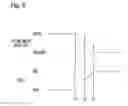 Fig. 08 - Camera and method of controlling operation of same