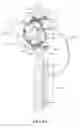 Fig. 06 - Photographing device