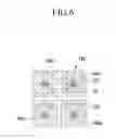 Fig. 07 - Liquid crystal display