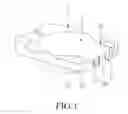 Fig. 02 - Optical device and method for producing the same