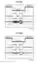 Fig. 09 - Head position demodulating method and magnetic disk device