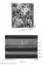 Fig. 04 - PERPENDICULAR MAGNETIC RECORDING MEDIUM AND MAGNETIC RECORDING/REPRODUCING DEVICE