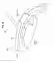 Fig. 11 - Vehicle lamp and method of manufacturing the same