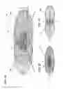 Fig. 06 - Vehicle lamp