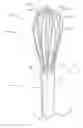 Fig. 01 - WHISK ASSEMBLY