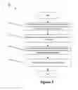 Fig. 06 - Pacing enhanced packet forwarding/switching and congestion avoidance