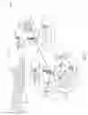 Fig. 10 - Utilizing explicit congestion notification for network selection