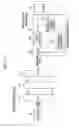 Fig. 14 - Communication method for preventing signal collision in peer aware communication system and apparatus for transmitting/receiving using the method