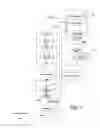 Fig. 04 - Flexible architecture and instruction for advanced encryption standard (AES)