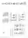 Fig. 23 - Methods, systems, and devices for obscuring entities depicted in captured images