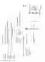 Fig. 34 - Methods, systems, and devices for obscuring entities depicted in captured images
