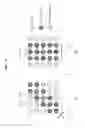 Fig. 20 - Image processing device, image processing method, and program