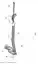 Fig. 02 - Armored flexible fiber optic assembly