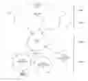 Fig. 01 - Method and system for automatic topology discovery in wavelength division multiplexing (WDM) network