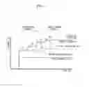 Fig. 06 - Bias control and image forming apparatus comprising the same