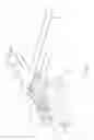 Fig. 02 - QUICK-DETACHABLE FASTENING ASSEMBLY