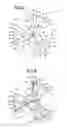 Fig. 03 - 3-blade drill
