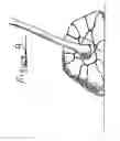 Fig. 10 - Device and method for securing nursery stock during transport