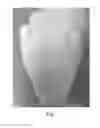 Fig. 02 - Pet Deodorizing Composition