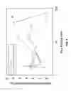Fig. 08 - Single-step, solvent-free, catalyst-free preparation of holey carbon allotropes