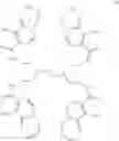 Fig. 08 - RADIO-PHARMACEUTICAL COMPLEXES