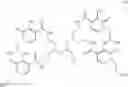 Fig. 09 - RADIO-PHARMACEUTICAL COMPLEXES