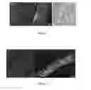 Fig. 06 - CHARACTERIZATION OF BIOLOGICAL TISSUES AT A CELLULAR LEVEL USING RED AND FAR-RED FLUORESCENT DYES