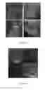 Fig. 07 - CHARACTERIZATION OF BIOLOGICAL TISSUES AT A CELLULAR LEVEL USING RED AND FAR-RED FLUORESCENT DYES