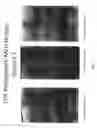 Fig. 06 - TOPICAL DELIVERY AND ADMINISTRATION SYSTEM FOR STABILIZED PROTECTION AGENT, COMPOSITIONS AND METHODS OF MAKING SAME