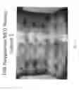 Fig. 07 - TOPICAL DELIVERY AND ADMINISTRATION SYSTEM FOR STABILIZED PROTECTION AGENT, COMPOSITIONS AND METHODS OF MAKING SAME