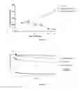 Fig. 06 - Protein-polymer-drug conjugates